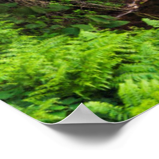 Wasserfall, Hamakua Küste, Hawaii Poster (Ecke)