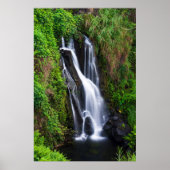 Wasserfall, Hamakua Küste, Hawaii Poster (Vorne)