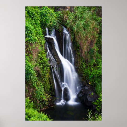 Wasserfall, Hamakua Küste, Hawaii Poster (Vorne)