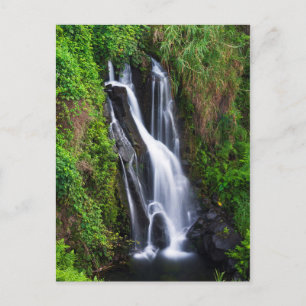 Wasserfall, Hamakua Küste, Hawaii Postkarte