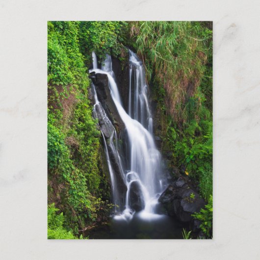 Wasserfall, Hamakua Küste, Hawaii Postkarte (Vorderseite)