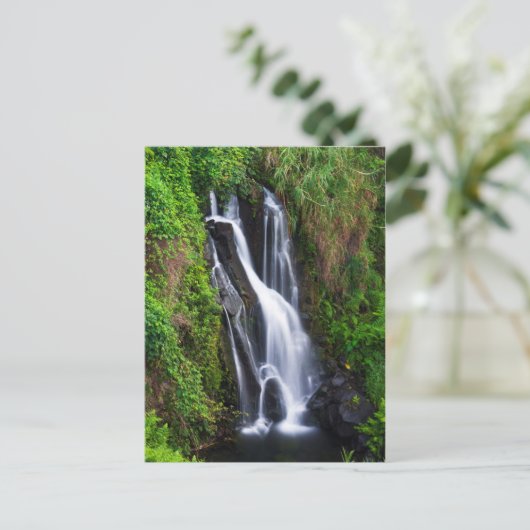 Wasserfall, Hamakua Küste, Hawaii Postkarte (Stehend Vorderseite)