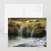 Wasserfall im Blauen Ridge Postkarte (Vorne/Hinten)