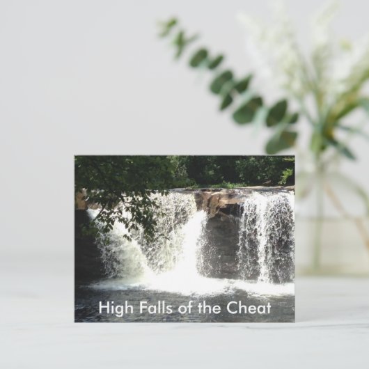 Wasserfall im Cheat River WV Wasserfall Postkarten (Stehend Vorderseite)