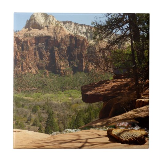 Wasserfall im Emerald Pools im Zion Nationalpark Fliese (Vorderseite)