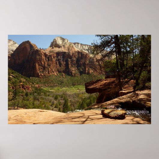 Wasserfall im Emerald Pools im Zion Nationalpark Poster (Vorne)