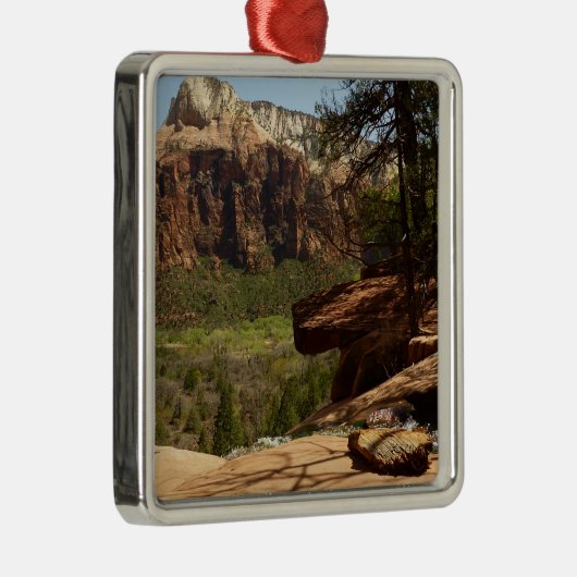 Wasserfall im Emerald Pools im Zion Nationalpark Silbernes Ornament (Rechts)