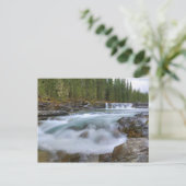 Wasserfall im Fluss Sheep im kanadischen Felsen Postkarte (Stehend Vorderseite)