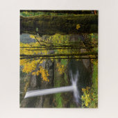 Wasserfall im Herbst im Silver Falls Staat Park Puzzle (Vertikal)