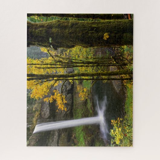 Wasserfall im Herbst im Silver Falls Staat Park Puzzle (Vertikal)