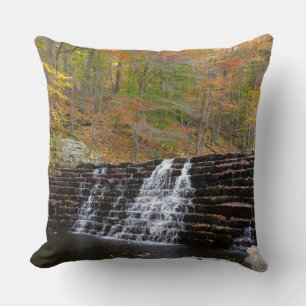 Wasserfall im Laurel Hill Staat Park I Kissen
