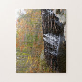 Wasserfall im Laurel Hill Staat Park I Puzzle (Vertikal)
