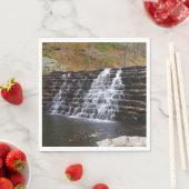 Wasserfall im Laurel Hill Staat Park I Serviette (Beispiel)