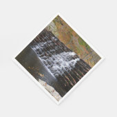 Wasserfall im Laurel Hill Staat Park I Serviette (Ecke)