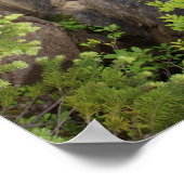 Wasserfall im Nationalpark Rainier Poster (Ecke)