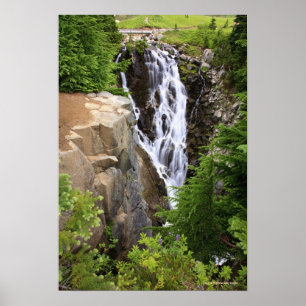 Wasserfall im Nationalpark Rainier Poster