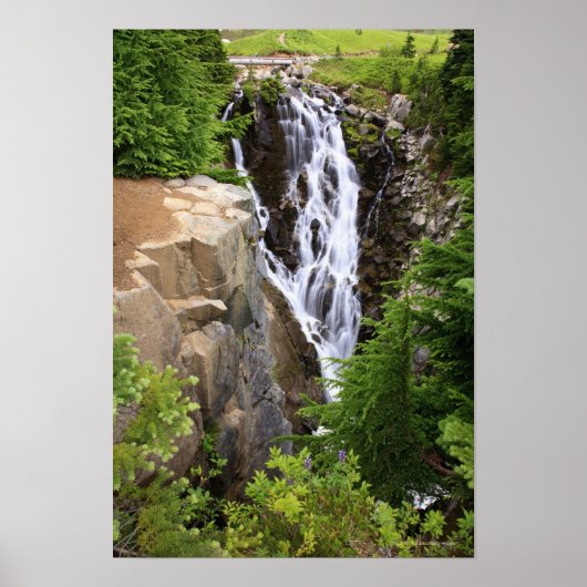 Wasserfall im Nationalpark Rainier Poster (Vorne)