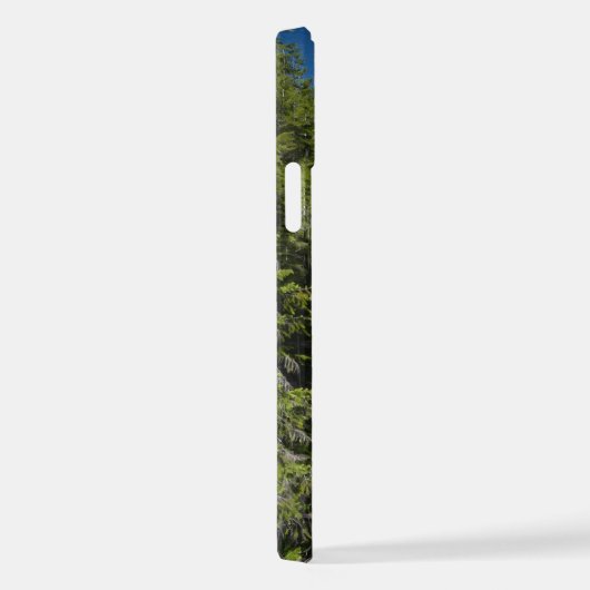 Wasserfall im olympischen Nationalwald iPhone Hülle (Rechte Seite)