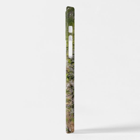 Wasserfall im olympischen Nationalwald iPhone Hülle (Linke Seite)