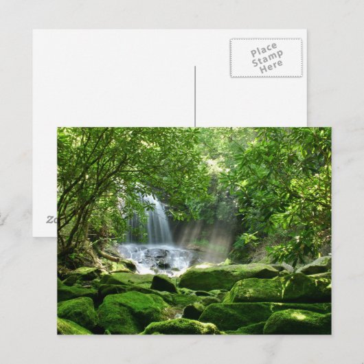 Wasserfall im Regenwald Postkarte (Vorne/Hinten)