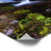Wasserfall im verzauberten Wald Poster (Ecke)