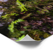 Wasserfall im verzauberten Wald Poster (Ecke)