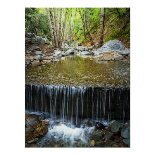 Wasserfall im Wald - Gebirgsbach-Druck Poster (Vorderseite)