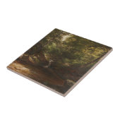 Wasserfall im Wald - George Hetzel Fliese (Seite)