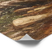 Wasserfall im Wald - George Hetzel Poster (Ecke)