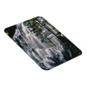 Wasserfall im Wald, Oregon Magnet (Rechte Seite)