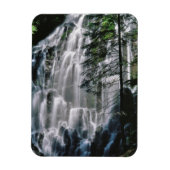 Wasserfall im Wald, Oregon Magnet (Vertikal)