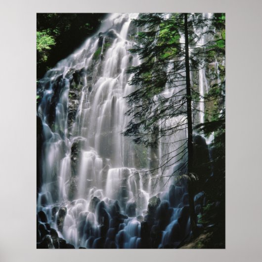 Wasserfall im Wald, Oregon Poster (Vorne)