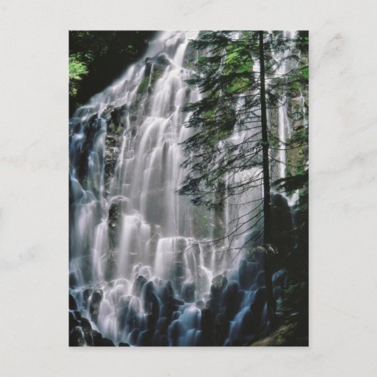 Wasserfall im Wald, Oregon Postkarte (Vorderseite)