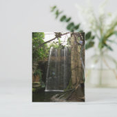 Wasserfall im Zoo Postkarte (Stehend Vorderseite)