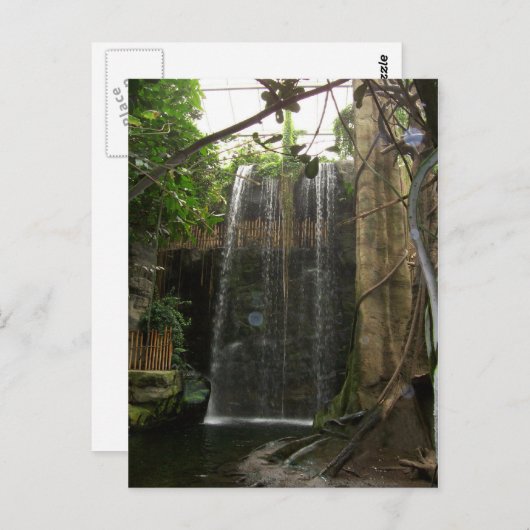 Wasserfall im Zoo Postkarte (Vorne/Hinten)