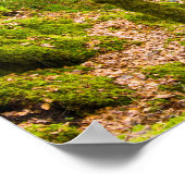 Wasserfall in Argyll, Schottland Poster (Ecke)