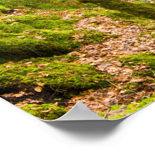 Wasserfall in Argyll, Schottland Poster (Ecke)