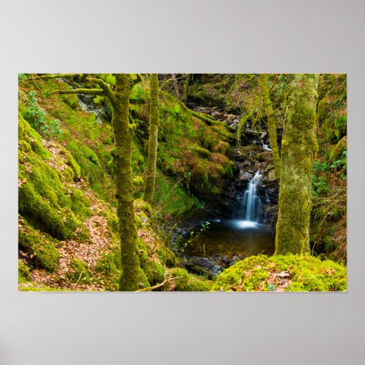 Wasserfall in Argyll, Schottland Poster (Vorne)