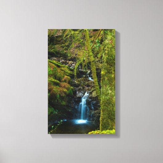 Wasserfall in Argyll, Scotland Canvas print Leinwanddruck (Vorderseite)