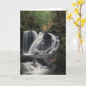 Wasserfall in Connecticut Notecards Karte (Gelbe Blume)