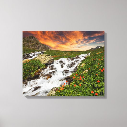 Wasserfall in den Bergen mit Blume Leinwanddruck (Vorderseite)