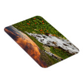 Wasserfall in den Bergen mit Blume Magnet (Rechte Seite)