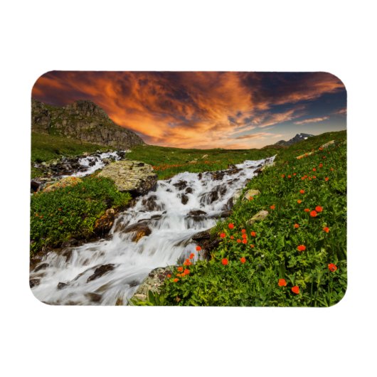 Wasserfall in den Bergen mit Blume Magnet (Horizontal)