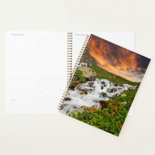 Wasserfall in den Bergen mit Blume Planer