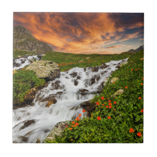 Wasserfall in den Bergen mit Blumen Fliese
