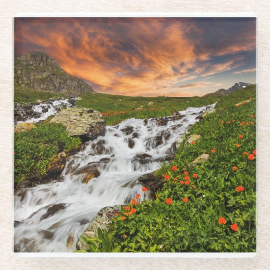 Wasserfall in den Bergen mit Blumen Glasuntersetzer (Vorderseite)