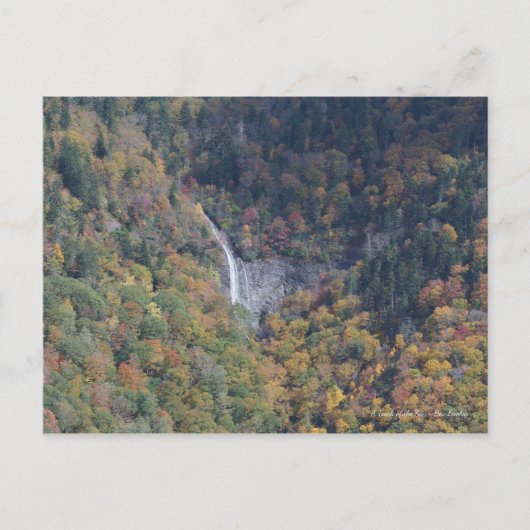 Wasserfall in den Blue Ridge Mountains, NC Postkarte (Vorderseite)