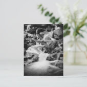 Wasserfall in den Großen Smoky-Bergen Postkarte (Stehend Vorderseite)