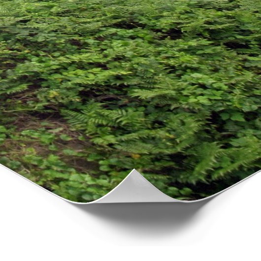 Wasserfall in der Nähe von Hilo, Hawaii Poster (Ecke)