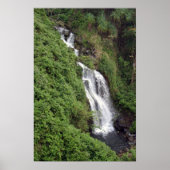 Wasserfall in der Nähe von Hilo, Hawaii Poster (Vorne)